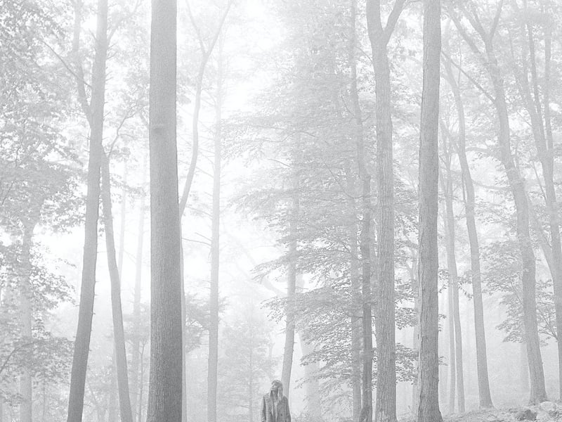 This surprise album emerged from Covid quarantine measures in 2020, earning Swift another Album of the Year Grammy, making her the first woman to win the award three times. More indie-folk than radio-friendly pop, folklore ushered in Swift’s era of storytelling. The songs on this album aren’t her usual autobiographical style, instead focusing on narratives and characters with themes of escapism. Songs such as Exile, featuring Bon Iver, This Is Me Trying, Cardigan, and The Last Great American Dynasty were on folklore.