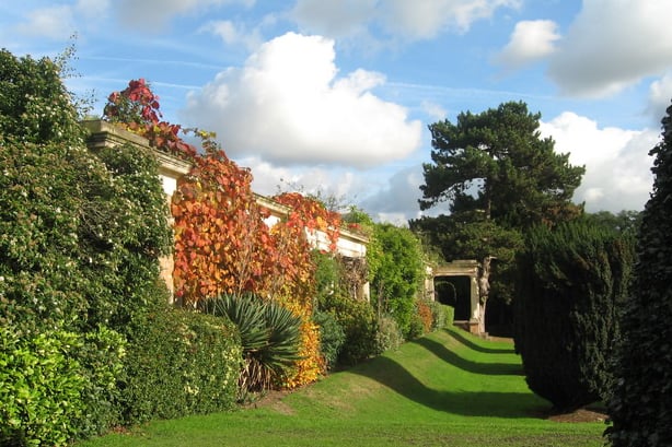Allerton Towers is a stunning 35 acre park in South Liverpool, open to the public all year round. It is full of little areas to explore, including a partially walled garden .