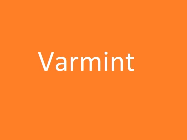 Varmint, meaning naughty, often used to refer to a child. Nominated by Star reader, Linda Judge