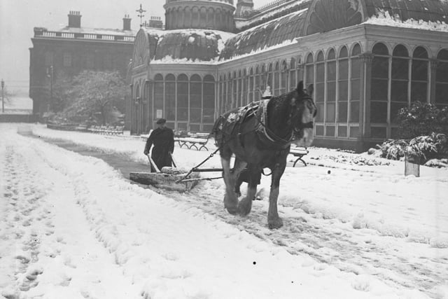 A snow plough pulled by a horse tackles the roads near Mowbray Park in 1941.