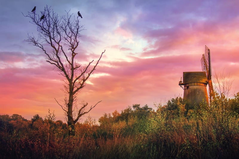 Bidston Hill is one of the highest points on the Wirral, offering a beautiful clear view of the sun rising and setting.