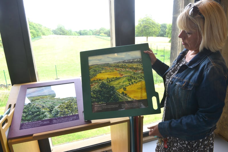 Operations manager Nikki Vokes with a painting of how the view from the castle once looked.