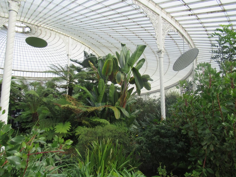 As written on their website: “Glasgow Botanic Gardens is firstly a documented collection of plants for the purposes of conservation, education and research and is home to several national plant collections including Dendrobium orchids, tree ferns and Begonias.” Found in the West End, it is a glorious location to enjoy a peaceful walk or sit on the grass outside.