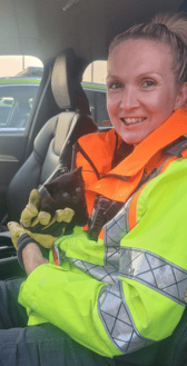 A 'bundle of fluff' kept National Highways traffic officers busy for hours after it wandered onto the M1 motorway near Rotherham. Photo: National Highways