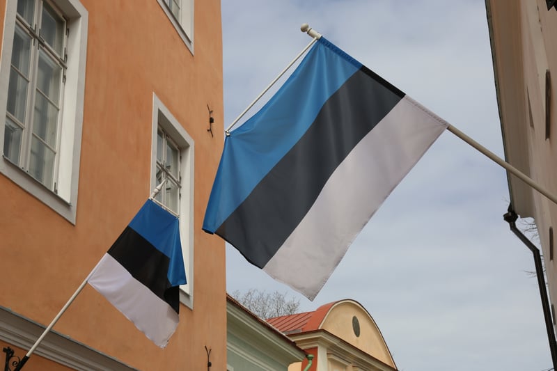 The Estonian system of government is registered as a Parliamentary Republic. The country scored 8.91 on the Human Freedom Index and 0.84 on the Liberal Democracy Index.