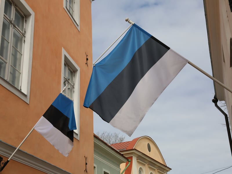 The Estonian system of government is registered as a Parliamentary Republic. The country scored 8.91 on the Human Freedom Index and 0.84 on the Liberal Democracy Index.