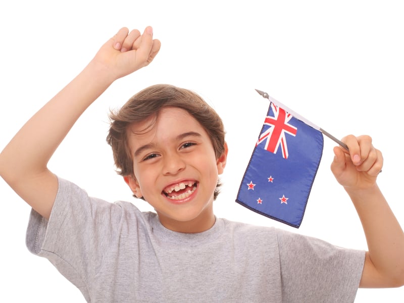 New Zealand’s system of government is registered as a Constitutional Monarchy. The country scored 9.01 on the Human Freedom Index and 0.84 on the Liberal Democracy Index.