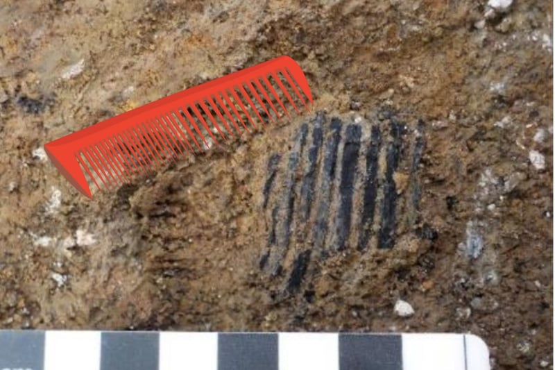 A 3,000-year-old comb found during an excavation in Wales - with a modern comb on the left (Red River Archaeology Group)