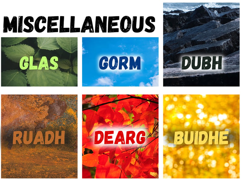 Congrats! You’re now more ‘landscape literate’ as a Scots Gaelic scholar. If you fancy a challenge, here are some extra terms to look (or listen) out for starting with colours. Glas (“glass”) for grey or green, Gorom (“gorom”) for blue or green, Dubh (“dooh”) for black, Ruadh (“roo-a”) for rusty red, Buidhe (“boo-ee”) for yellow and Dearg (“jerrack”) for red.