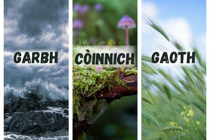We know basics like Mòr (“more”) for big and Beag (“bek”) for little. Other handy words include Garbh (“garav”) for rough or coarse, Còinnich (“coh-nyeech”) for mossy and Gaoth (“goo”) for wind. In the Hebrides you may find Eilean Garbh (Rough Island), by Loch Lomond there is Conic Hill (Mossy Hill) and in the Highlands we have Sgòr Gaoith (Windy Peak).