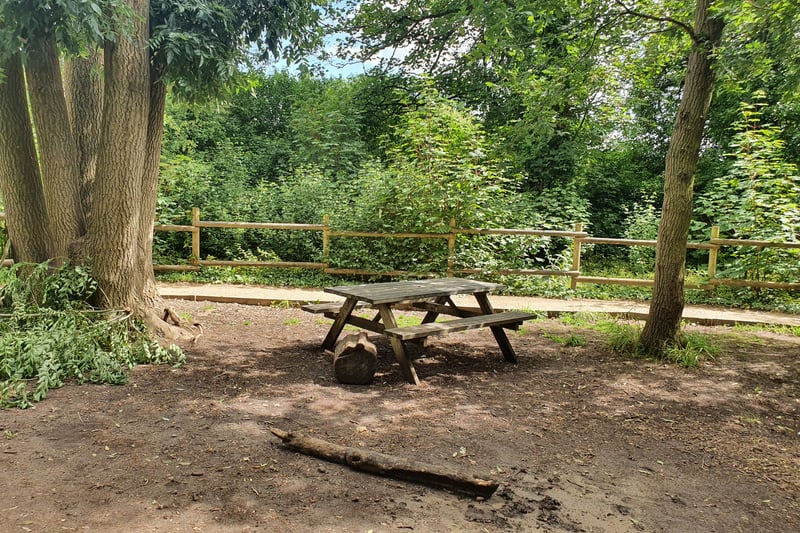 There are numerous picnic spots scattered across the park both sheltered and in the open. Some spots include next to the entrance to the Bear Wood and by the Geladas.