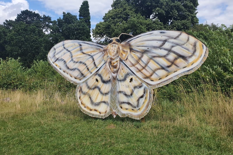 There is a butterfly-shaped maze in the park. Visitors who dare to test their sense of direction will be able to find the posters featuring the story of a caterpillar's journey to becoming a beautiful butterfly by the end of the maze.