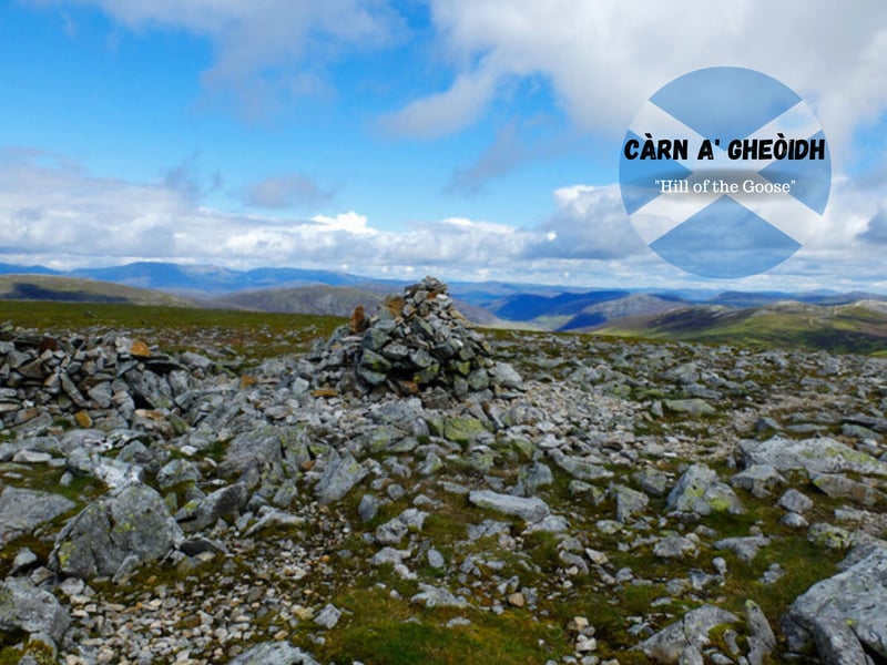 Carn a’Gheoidh is a conical hill with a gently rounded summit which rises above the Spittal of Glenshee. This Munro stands at 975 metres.