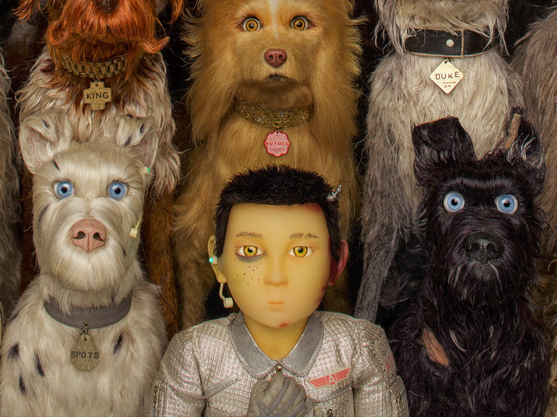 Wes Anderson’s superb stop-motion animation is set in the world of Megasaki City, where the major has exiled all the dogs to a vast garbage-dump called Trash Island due to a canine influenza pandemic. Greta Gerwig features as the voice of pro-dog foreign exchange student Tracy Walker. It also has a 90 per cent rating with professional critics.
