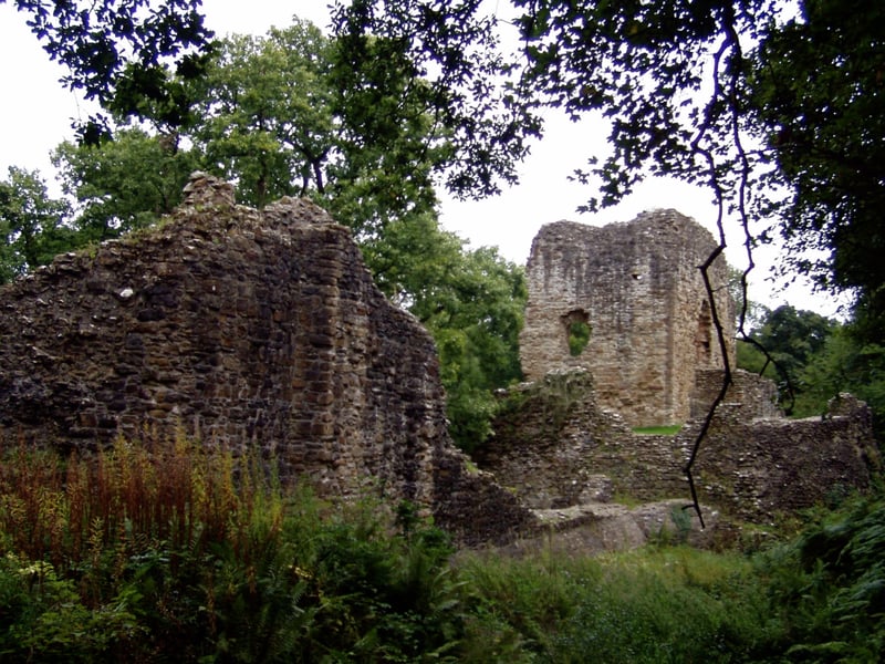 Ewloe Castle is in ruins but, it is worth a visit, hidden away in a lovely woodland. It was abandoned at the beginning of the invasion of Wales in 1277.