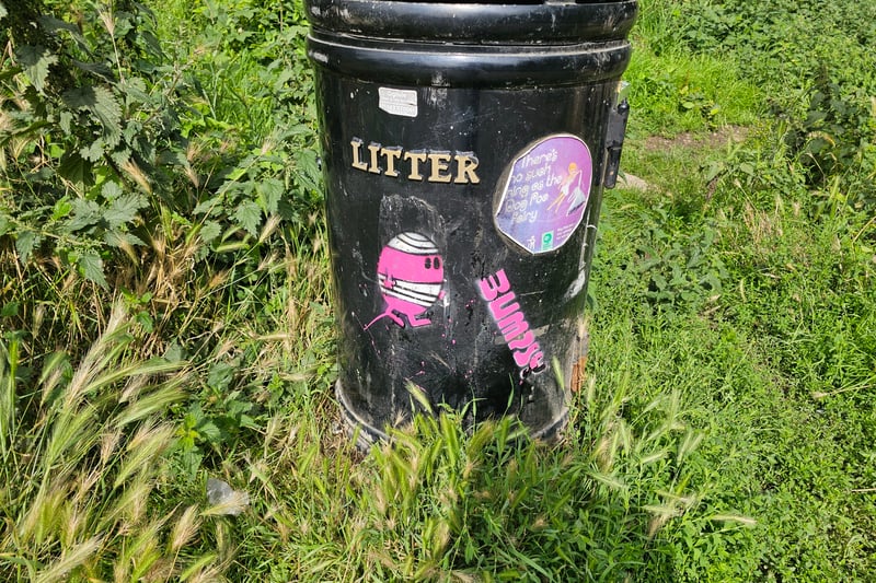 Located on a bin in the King Weston Car Park, we came across a small Pink Bumpsy. It can be found next to the leaflet stand and the path leading to the estate.