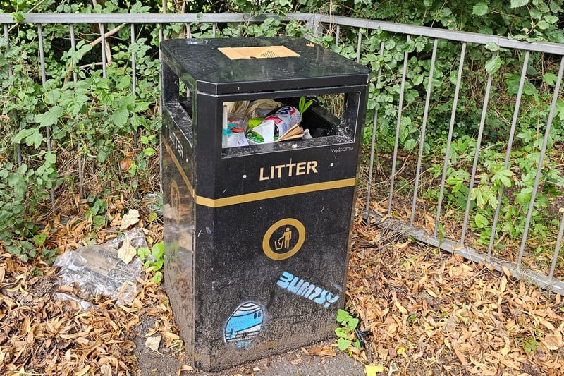 Just as we got off the number 3 Cityline bus to Cribbs Causeway at Penpole Lane, we came across our first Bumpsy of the day on a bin by the bus stop.
