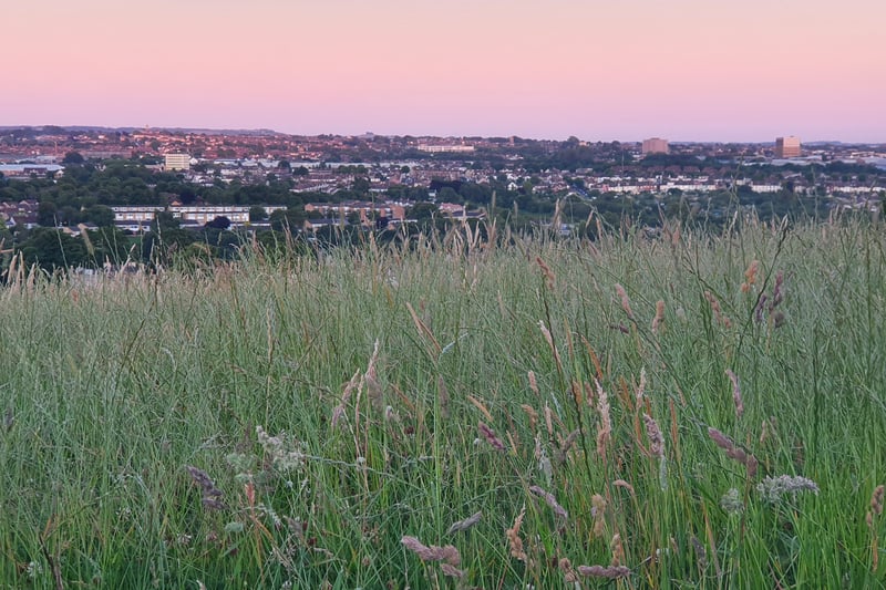A vast field with gorgeous panoramic views of the city, making the perfect spot to have a picnic on a clear day and watch the sunset. Purdown also has countless paths and areas to walk through and is home to many animal species including bats.