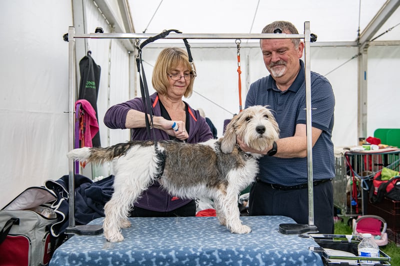 Deb and Tim Bartley with Jack, their Petit Basset Griffon Vendéen at the Harewood Dog Show. Picture by Tony Johnson