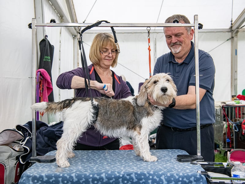 Deb and Tim Bartley with Jack, their Petit Basset Griffon Vendéen at the Harewood Dog Show. Picture by Tony Johnson