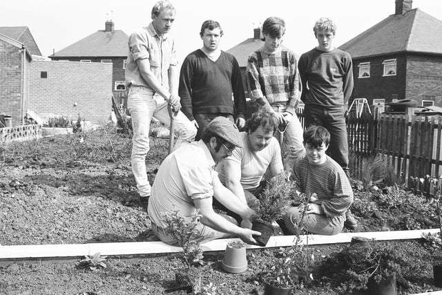 Gardener Joe Bell got a big surprise when he asked Sunderland Council for three or four shrubs to brighten up Plains Farm Boys' Club in 1985. 
Along came council chargehand gardener Robin Dawson with 300 or 400. 
Joe Bell and Robin Dawson were pictured giving planting advice to Paul Devlen, watched by left to right, Colin Charlton, Lol Williams, David Brown and Kenny Brannen.