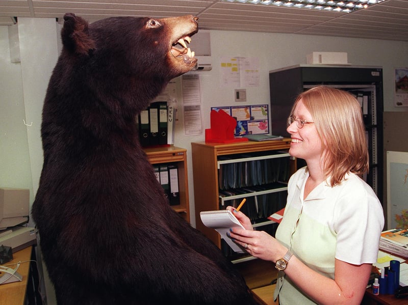 Hayley Goodwin at the Whitbread Brewery on Shepcote Lane, Sheffield, with the brown bear in the property department office which was leaving for a new home at the City Museum, in 1999.