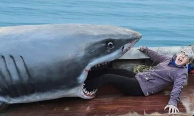 Often misquoted as "we're going to need a bigger boat", the line is actually "you're going to..." and is said by Martin Brody, the Police Chief, when he first sees the killer great white shark.