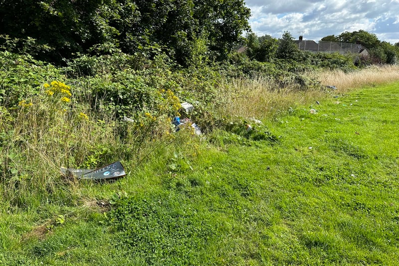 It appears alot of the rubbish has been thrown into the hedges and bushes which surround the field