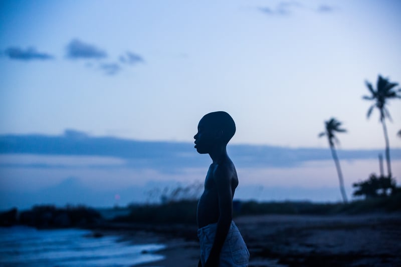 Winner of the Academy Award for Best Picture (after La La Land was mistakenly announced), Barry Jenkins' drama looks at three important chapters in the life of a young black man growing up in Miami. Starring Mahershala Ali it has an impressive 98 per cent positive reviews.