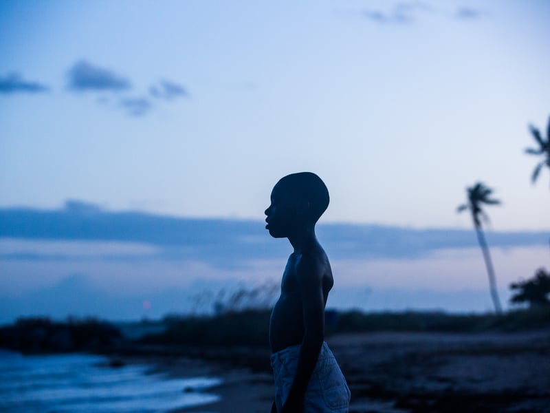 Winner of the Academy Award for Best Picture (after La La Land was mistakenly announced), Barry Jenkins' drama looks at three important chapters in the life of a young black man growing up in Miami. Starring Mahershala Ali it has an impressive 98 per cent positive reviews.
