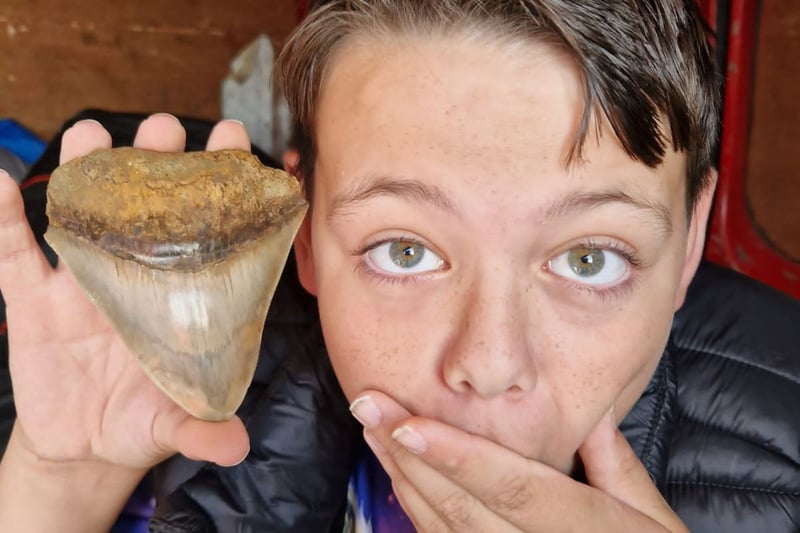 A shark tooth - believed to belong to a Megaladon - was found at Walton-on-the-Naze nature reserve on the Essex coast (c: Jason Evans)