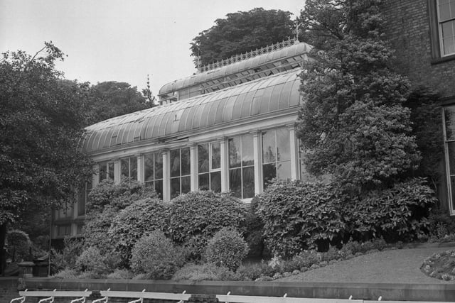 This conservatory in Backhouse Park was due for demolition in 1963 to make way for extensions to the College of Art - subject to committee approval.
