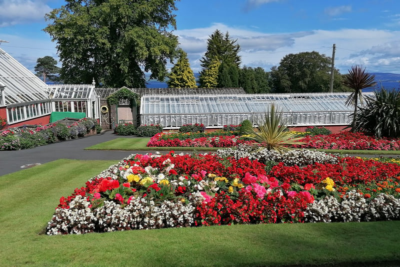 Visitors can enjoy the brightly coloured fuchsia and bedding displays, as well as a large selection of more exotic plant species within the glasshouses at Ardencraig Gardens