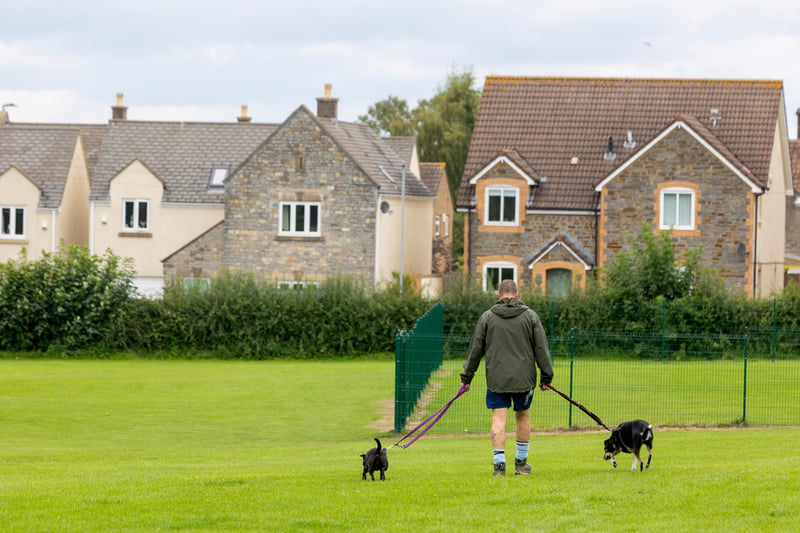 A man walks his dogs on the main field in the village which sits next to the busy Badminton Road. In the background you can see a line of modern houses on South View Crescent.