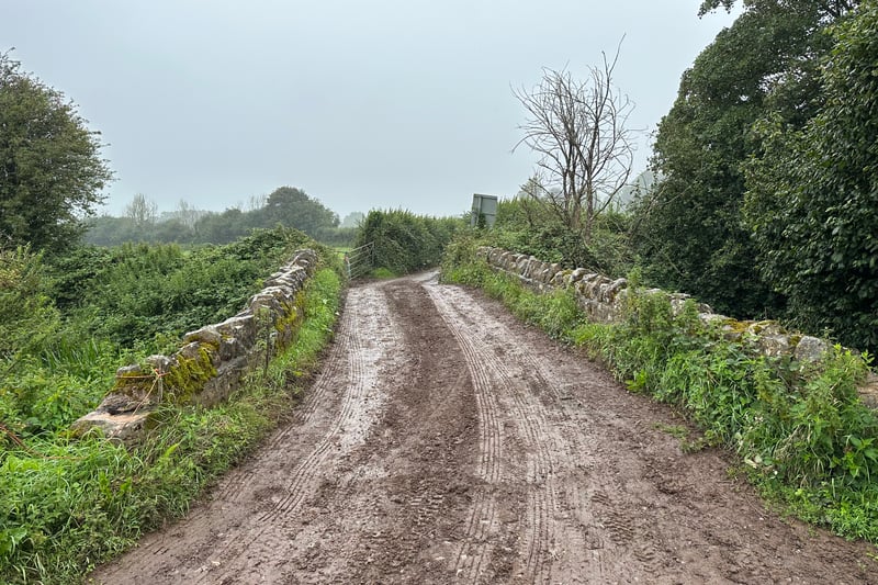 Sandy Lane is a single track to begin with which is shared with farm vehicles. Although pleasant to walk along, it can get muddy, like here before a bridge over the River Chew.