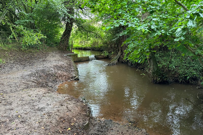 At a turn in Sandy Lane there is a tributary of the River Chew and a small, rather muddy bank we saw being used happily by dogs for a wash down.
