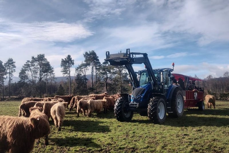 Tucked away in the Cairngorms, at Rothiemurchus you can visit the farm and enjoy a range of activities – not least their Hairy Coo Safari. If you’re visiting Aviemore or Inverness it’s well worth a visit. (Photo: Rothiemurchus Highland Estate on Facebook)