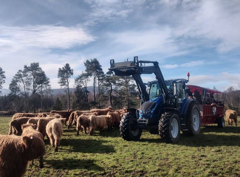 Tucked away in the Cairngorms, at Rothiemurchus you can visit the farm and enjoy a range of activities – not least their Hairy Coo Safari. If you’re visiting Aviemore or Inverness it’s well worth a visit. (Photo: Rothiemurchus Highland Estate on Facebook)