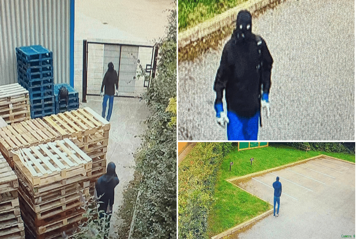 Cafeology Sheffield: £10,000 of bespoke coffee stolen in raid targeting ...