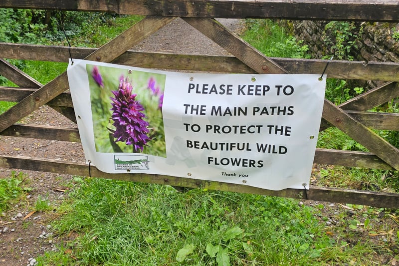 A sign by the entrance to the nature park encourages visitors to keep to the main paths to protect the wildflowers.