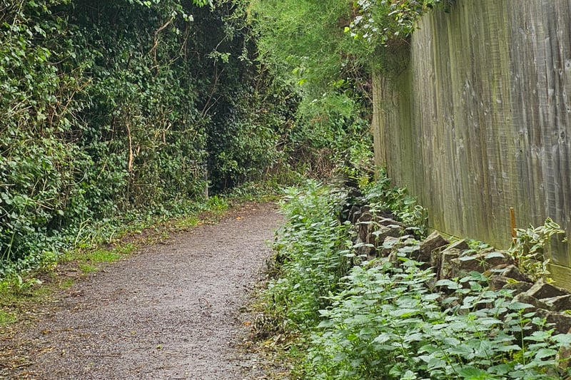 The park has accessible gravel paths which are surrounded by greenery.