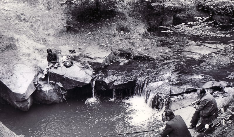 Fishing near the start of the Rivelin Nature Trail, Sheffield, where the river opens up and forms a deep pool, in September 1976