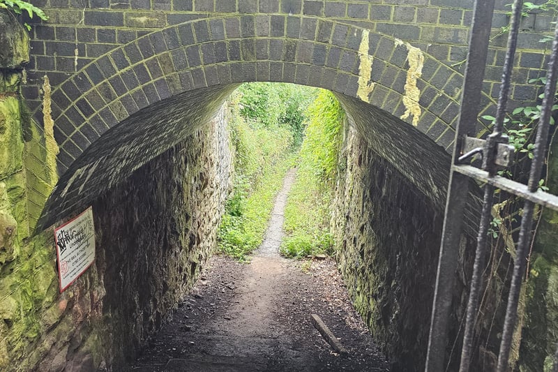 The tunnel can be found at the bottom corner of the terraced gardens and goes under the Prinkards Underbridge, and leads to the entrance by Bennett's Patch and White's Paddock Nature Reserve.