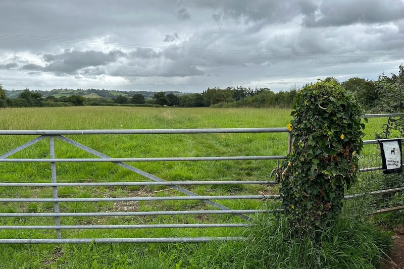 Reach Undertown Lane and you’ll face this steel gate with a kissing gate. Carry on through and follow the footpath down through the centre of the field toward a turn in the River Yeo.