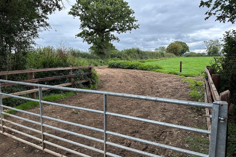 From the llamas, pass Bickfield House Farm and continue straight, going through two large fields before coming to a track and turning left. You only need to walk down it 5min and you’ll come to this gate. 
