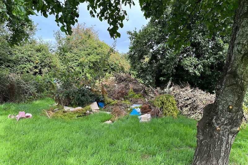A grass area between Colliters Way and Highridge Green has been used for fly-tipping. Green waste appears to have been dumped in the parcel of land, which is close to Highridge Common.