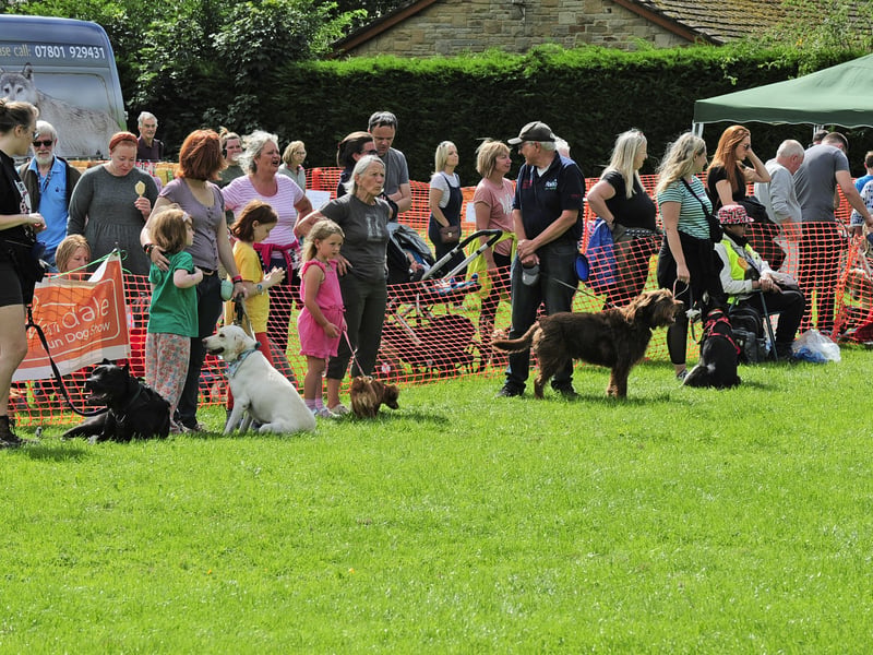 Festival-goers enjoying the Fun Dog Show