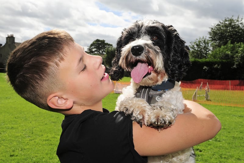 Luca Traviato and his dog Marley who won the Young Handler aged 6-10 contest