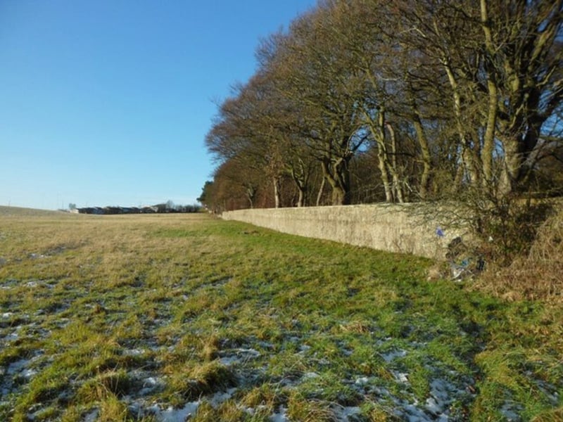 Callendar Wood is fascinating given it is at least 500 years old. According to Visit Scotland: “The extensive woodlands surrounding the stunning Callendar House have a long and varied history dating all the way back to the 12th century.”
