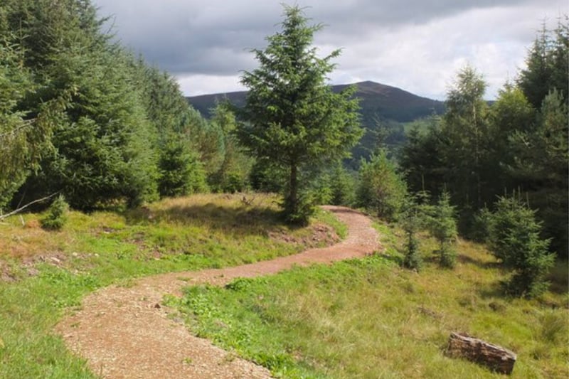Located close to Peebles, this trail is approximately an hour from Edinburgh but well worth it. There are four paths to choose from ranging from a casual 0.3km trek to one that is almost 7km. Here, aside from a range of birds, it is also said that red squirrels roam nearby.